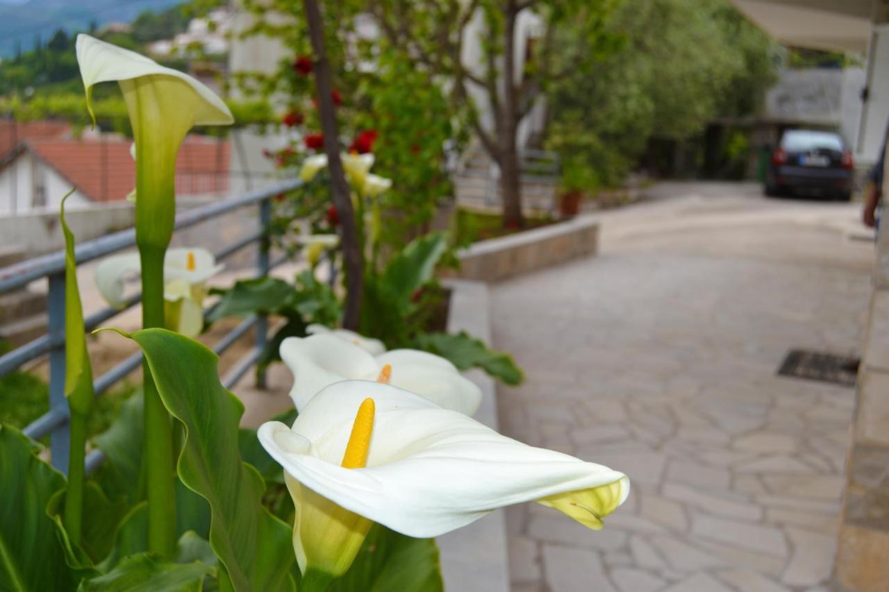 Tivat Apartments Eksteriør billede